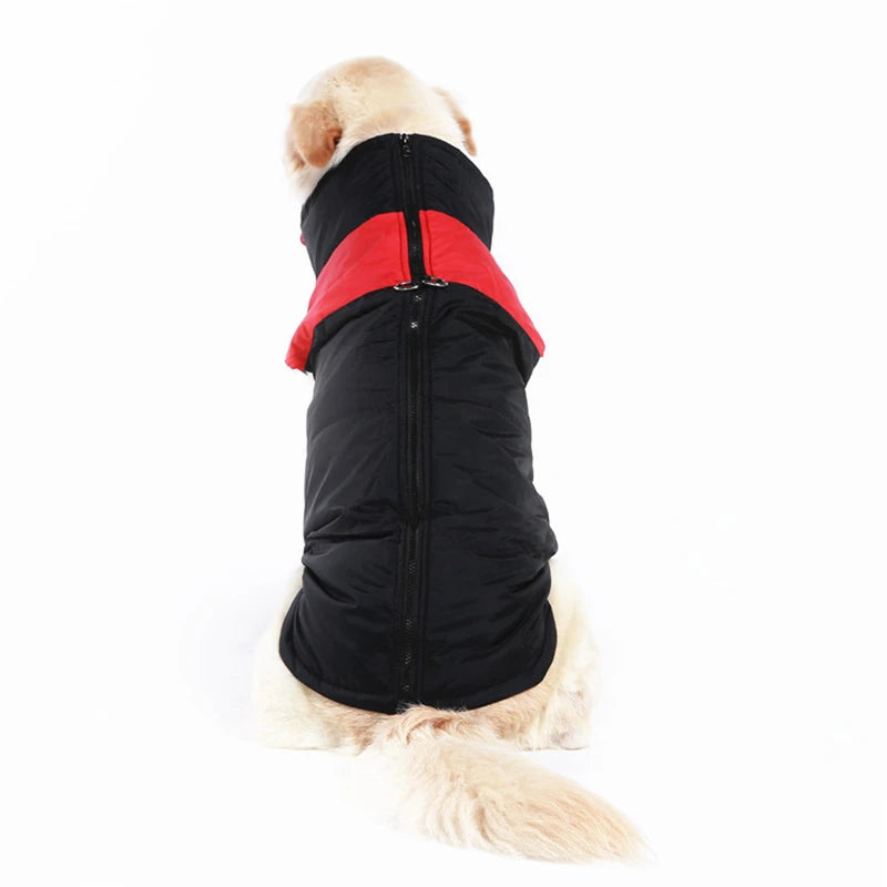 Dog Coat Waterproof Jacket. Winter Warmth.*MEASURE YOUR DOG*