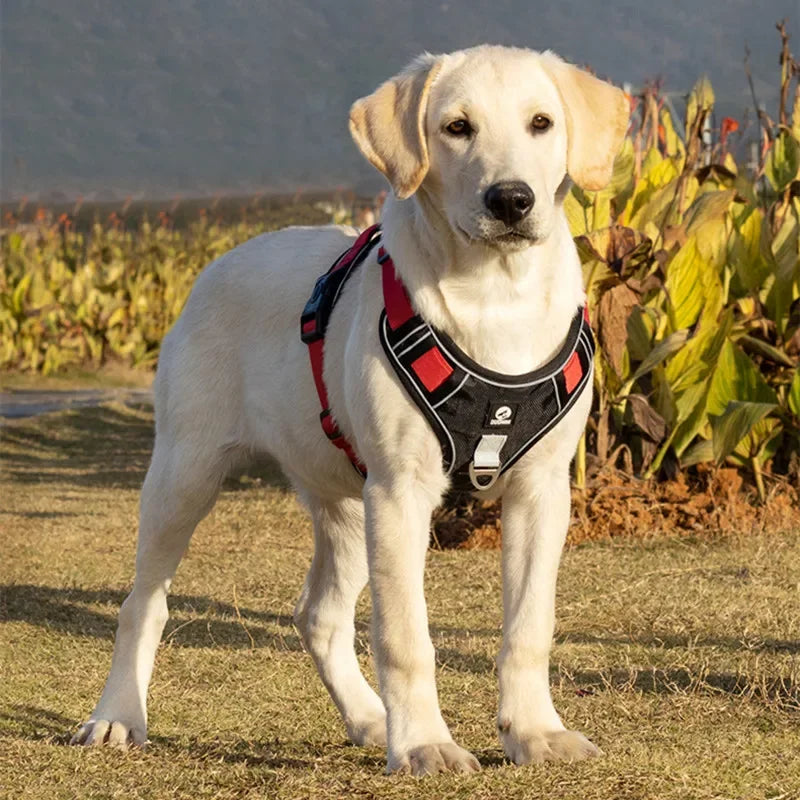 Dog Harness Adjustable Reflective Safety Walking Chest Vest.