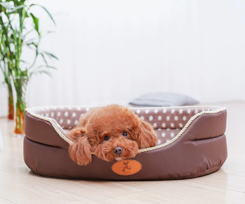 Dog Bed - Washable offers comfort and versatility for your furry friend.